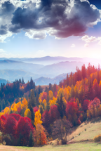 Autumn Symphony - Poster