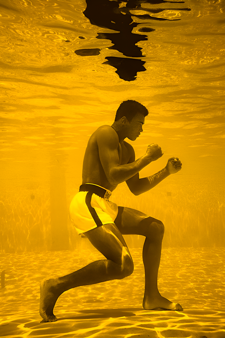Submerged Power - Poster