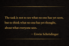 E. Schrödinger - Poster