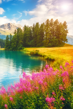 Spring Lake - Poster